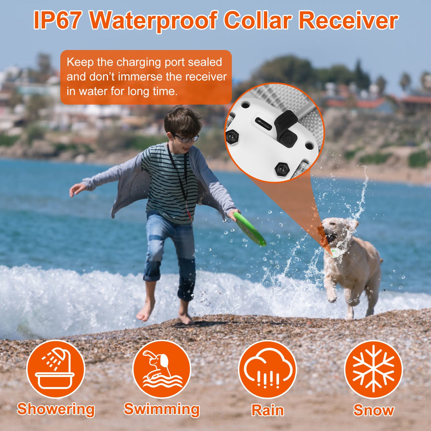 Electric Remote Training Collar IP67 Waterproof Rechargeable Dog Training System with Light Beep Vibration Shock 2624FT Range Fit for All Dogs 10-150LBS