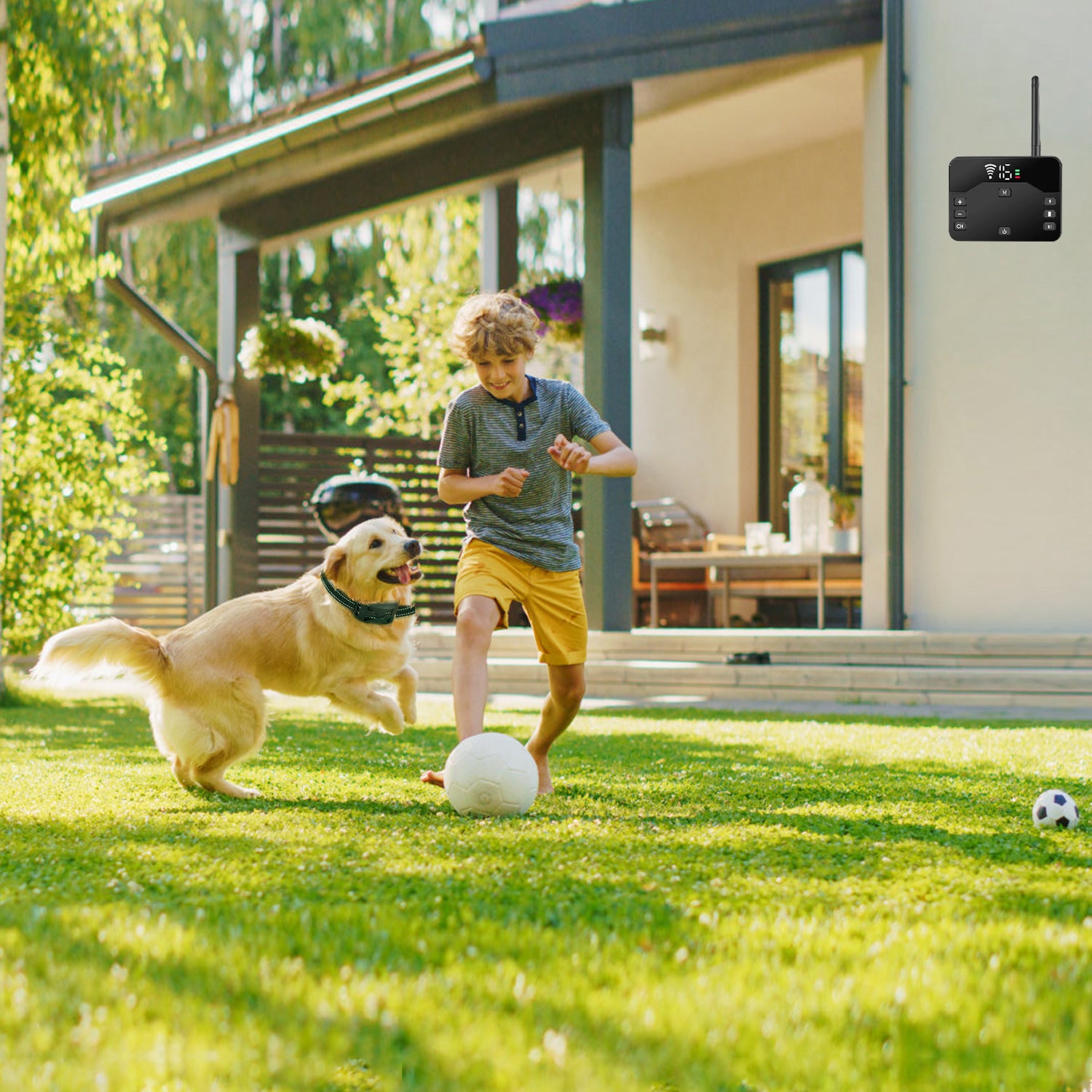 2 In 1 Wireless Electric Dog Fence Waterproof