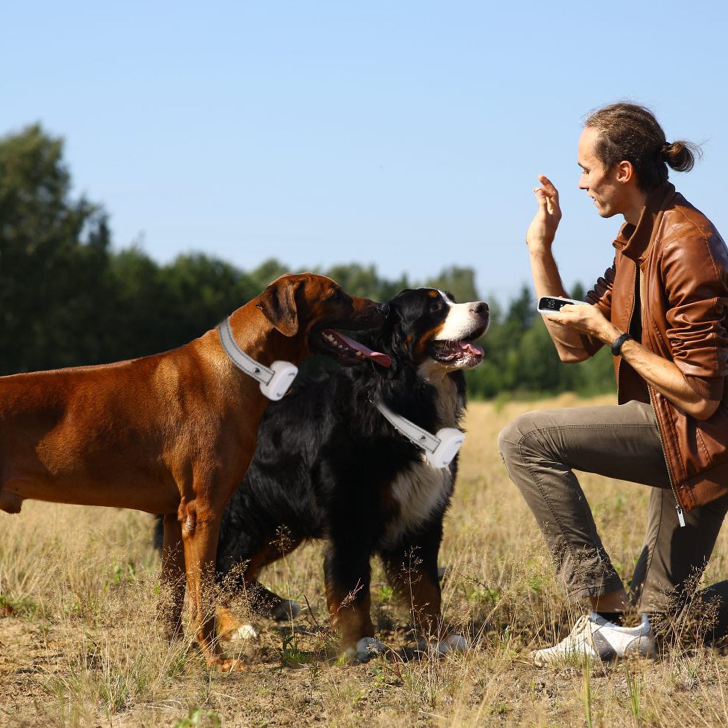 Electric Remote Training Collar IP67 Waterproof Rechargeable Dog Training System with Light Beep Vibration Shock 2624FT Range Fit for All Dogs 10-150LBS