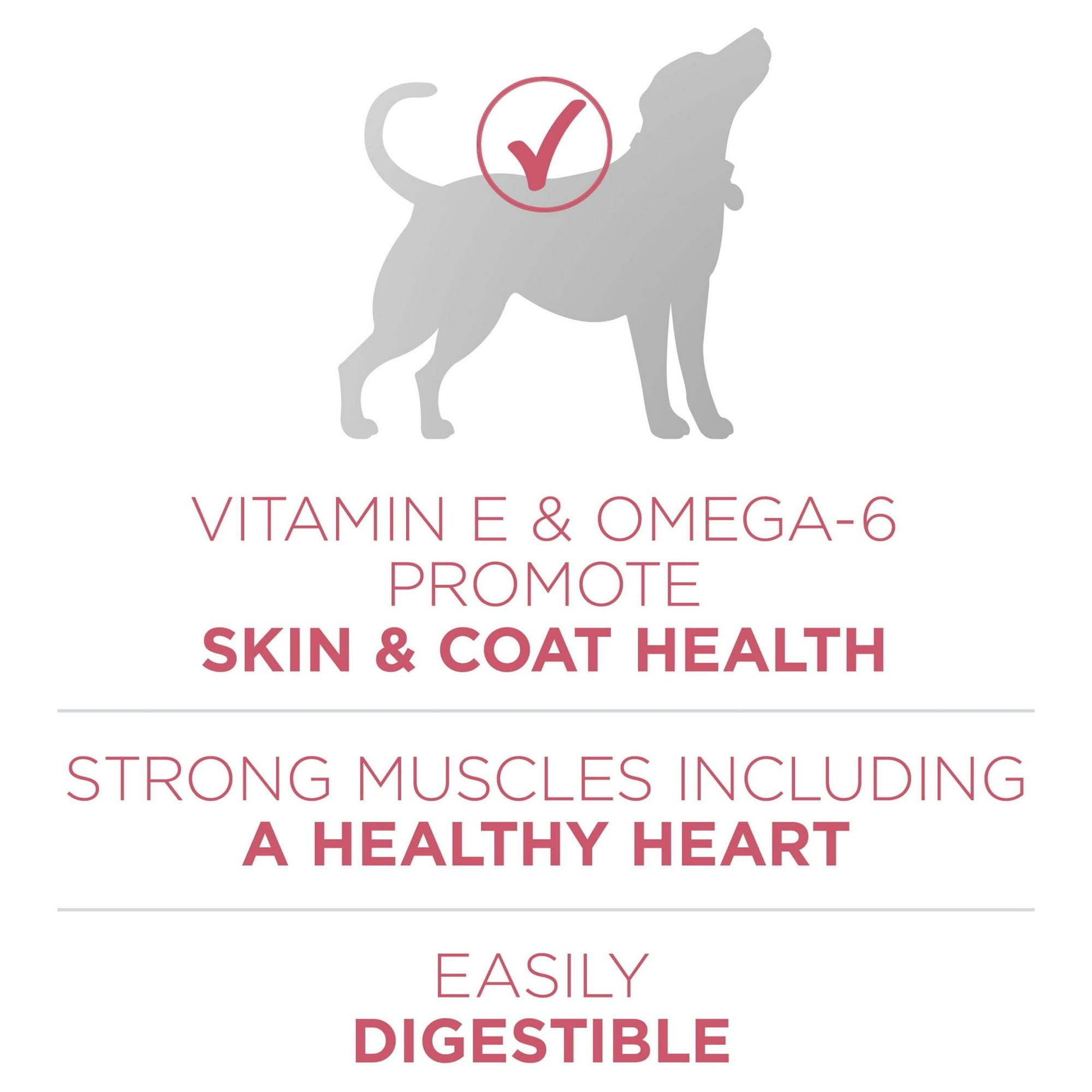 Purina One +Plus Dry Dog Food Skin and Coat Formula 31.1 lb Bag