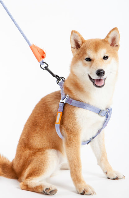 Touchdog &