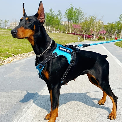 Pet Harness And Leash Set For Dog &amp; Cat; Adjustable No Pull Service Dog Vest Harness For Walking