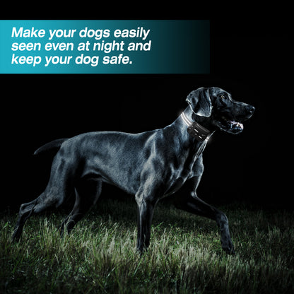 2 In 1 Wireless Electric Dog Fence Waterproof