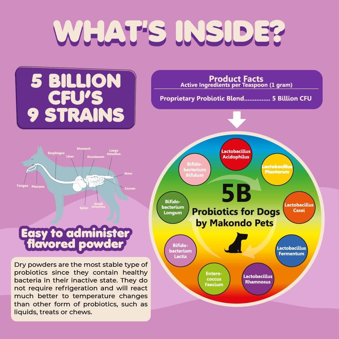 Probiotics for Dogs &amp; Puppies Extra Strength 9 Species 5 Billion CFU per Scoop of Dog Probiotics and Digestive Enzymes for Dogs Support Fiber for Dogs  Dog Allergy Relief Powder Probiotic for Dogs