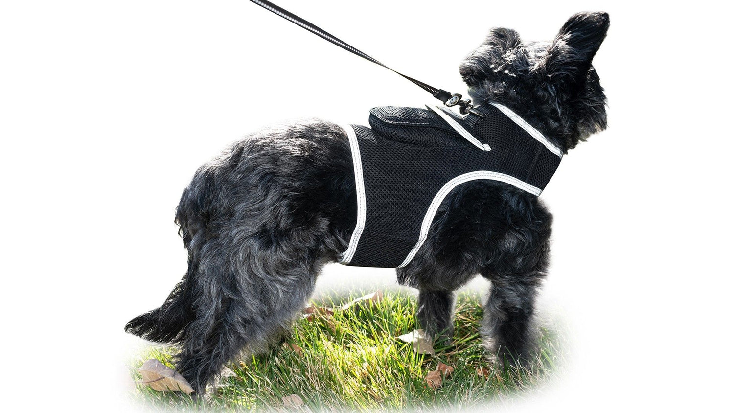 Wireless GPS Pet Chip Tracker for Realtime Pet Surveillance Security Size:XL
