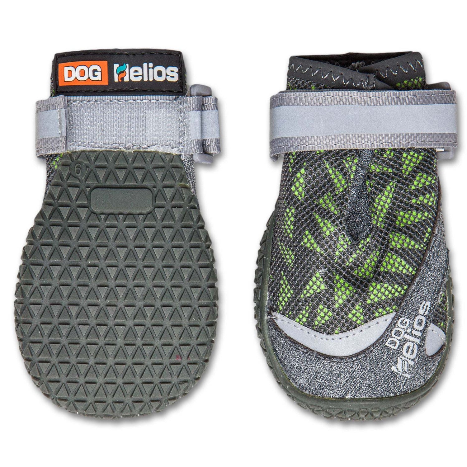 Dog Helios &
