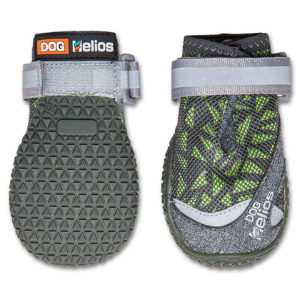 Dog Helios &