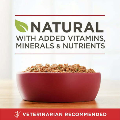 Purina ONE High Protein Natural Beef &amp; Brown Rice Ground Wet Dog Food 13 oz Can