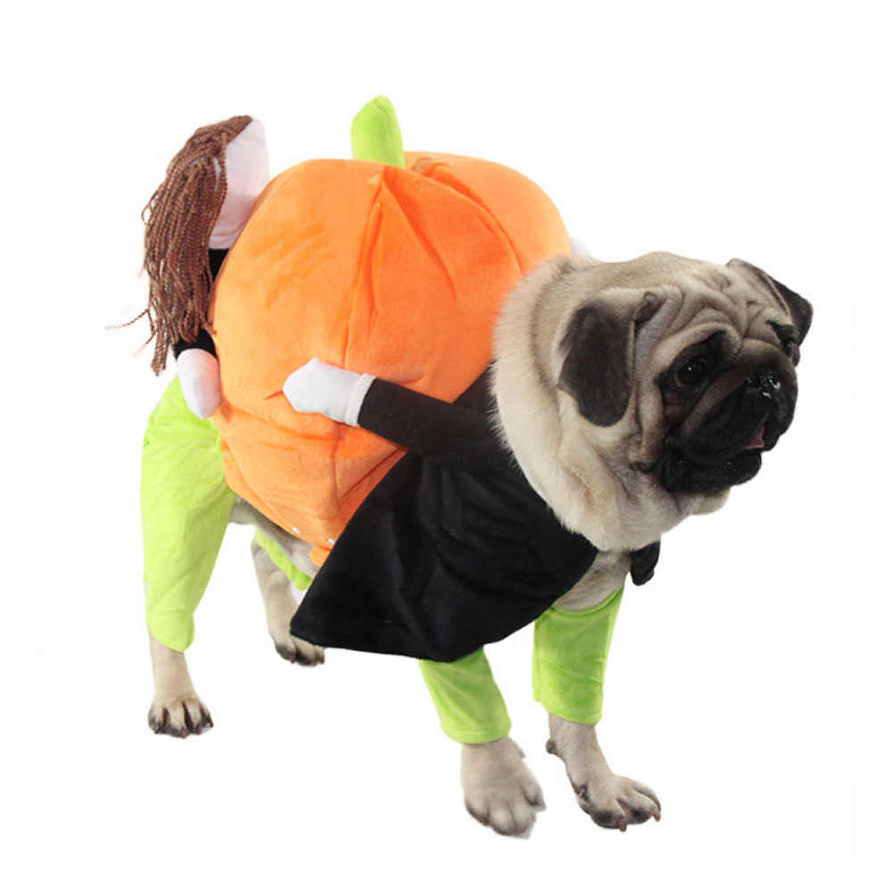 Pet Life &