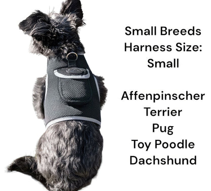 Wireless GPS Pet Chip Tracker for Realtime Pet Surveillance Security Size:XL