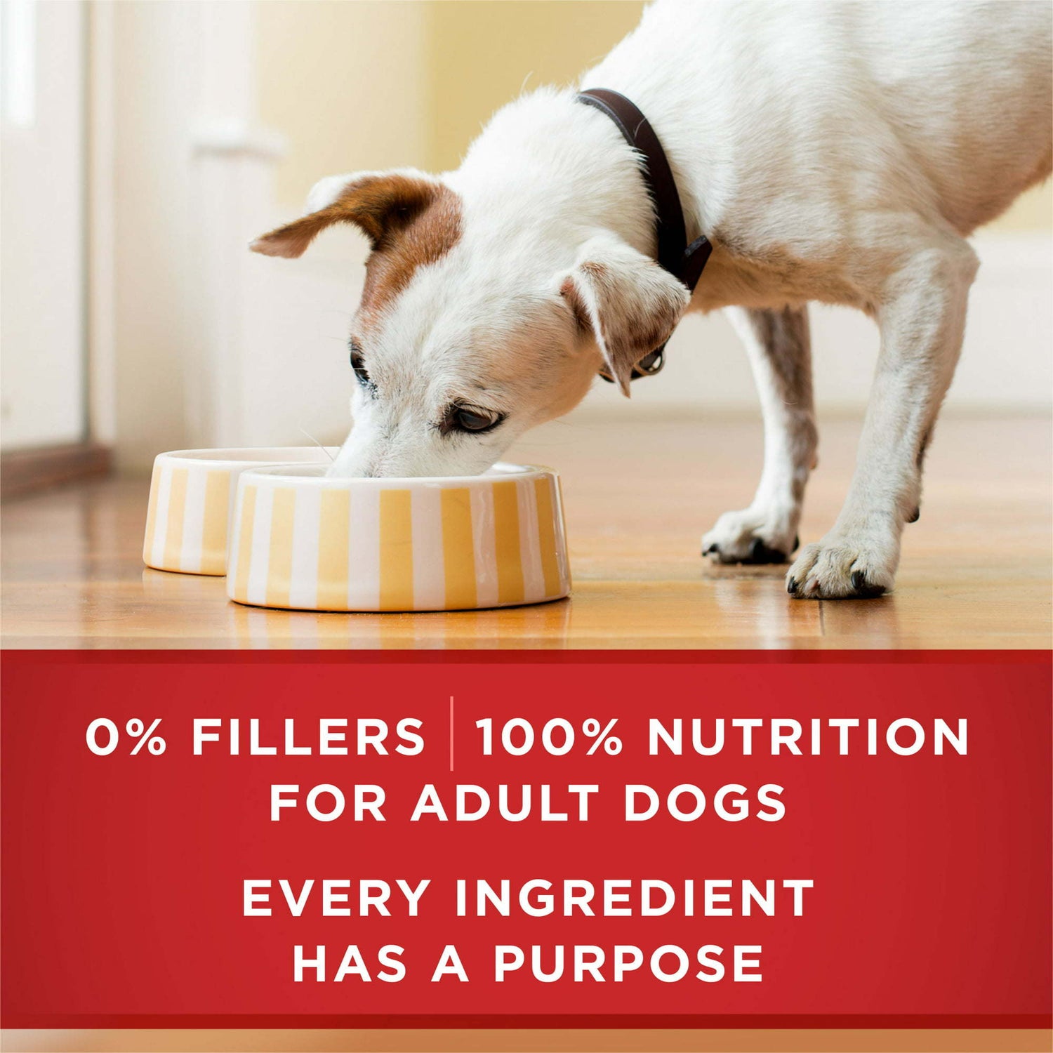 Purina ONE High Protein Natural Beef &amp; Brown Rice Ground Wet Dog Food 13 oz Can