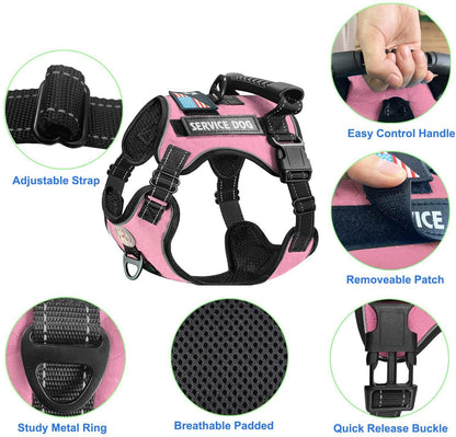 Pet Harness And Leash Set For Dog &amp; Cat; Adjustable No Pull Service Dog Vest Harness For Walking