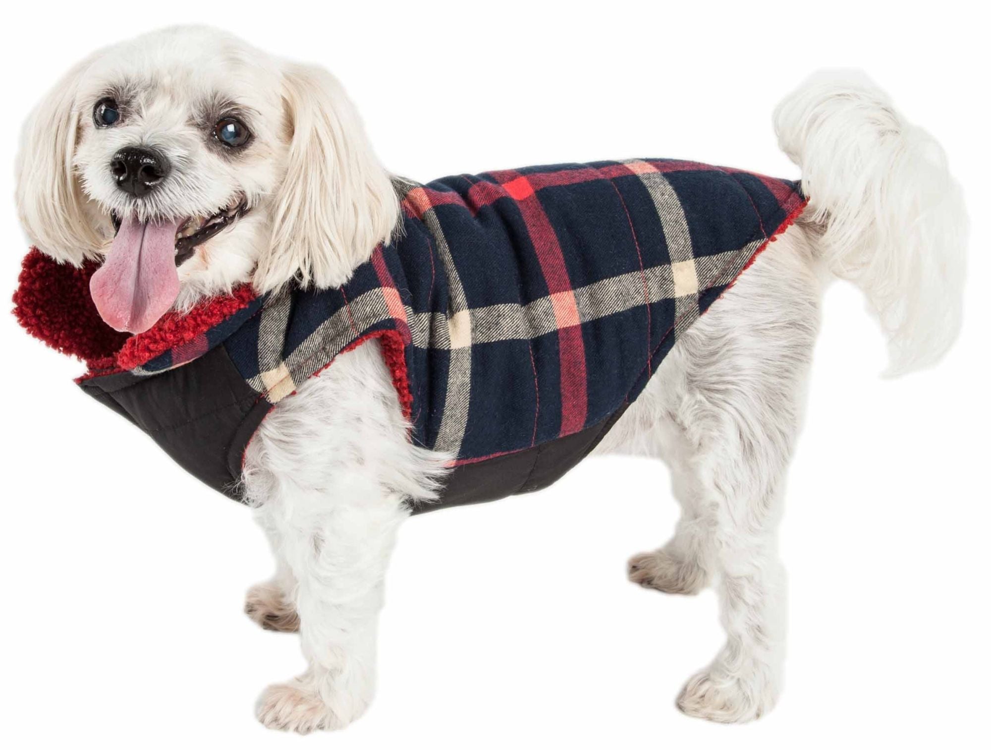 Pet Life &