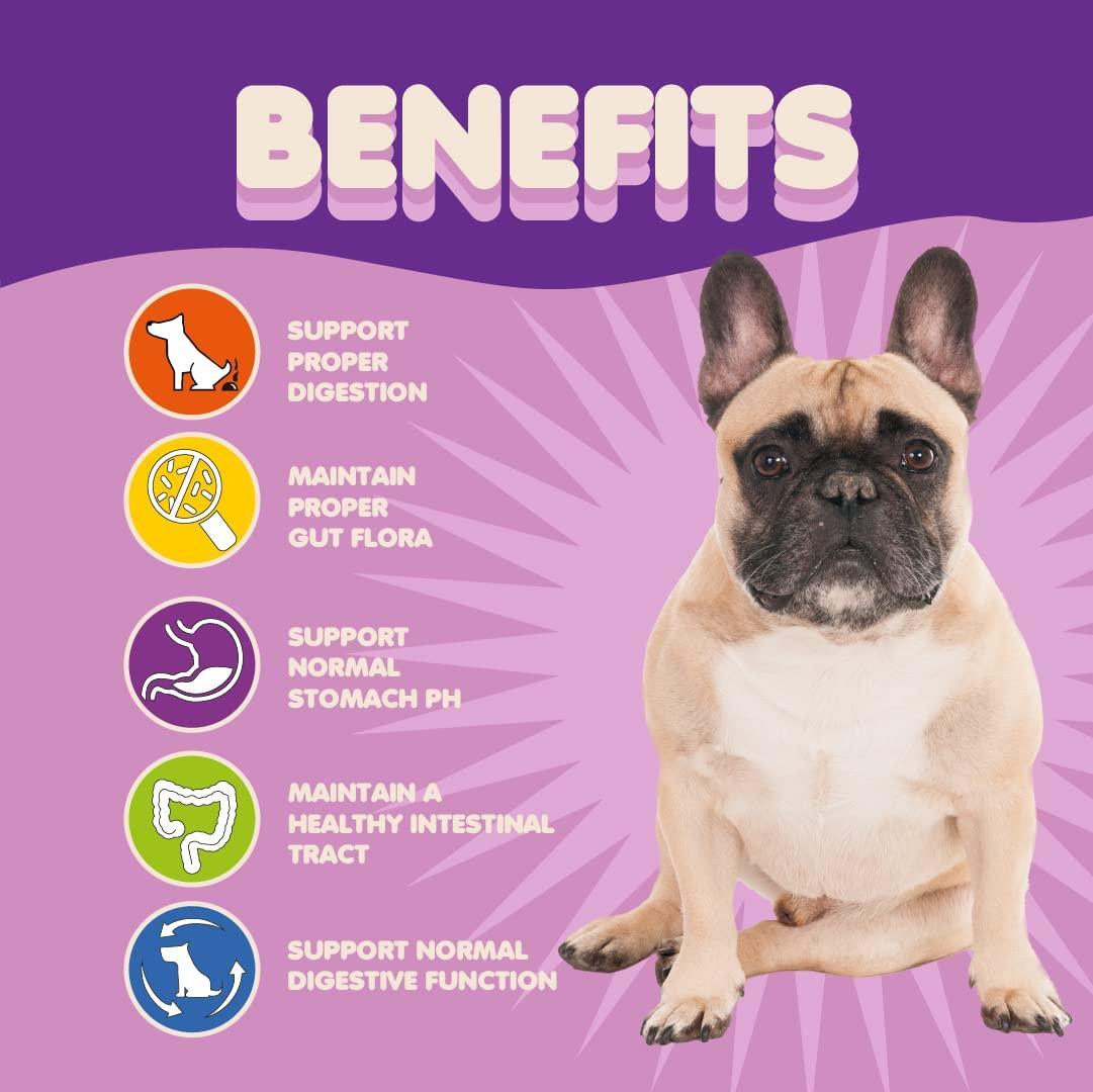 Probiotics for Dogs &amp; Puppies Extra Strength 9 Species 5 Billion CFU per Scoop of Dog Probiotics and Digestive Enzymes for Dogs Support Fiber for Dogs  Dog Allergy Relief Powder Probiotic for Dogs