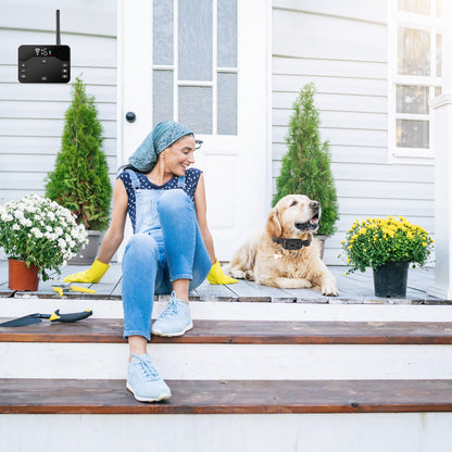 2 In 1 Wireless Electric Dog Fence Waterproof
