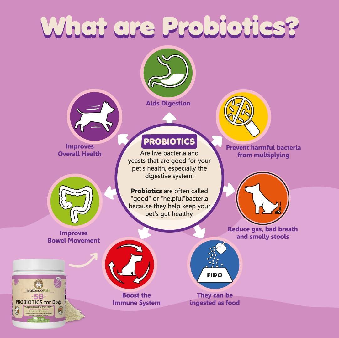 Probiotics for Dogs &amp; Puppies Extra Strength 9 Species 5 Billion CFU per Scoop of Dog Probiotics and Digestive Enzymes for Dogs Support Fiber for Dogs  Dog Allergy Relief Powder Probiotic for Dogs