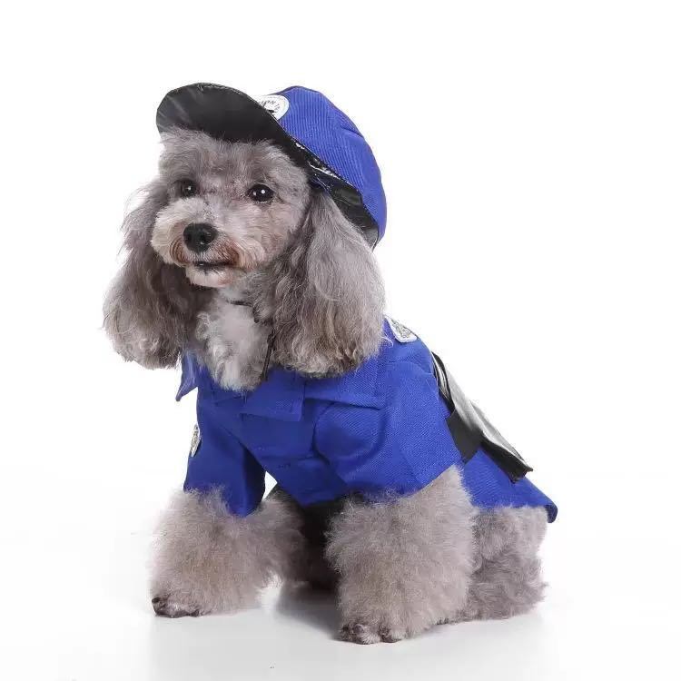 Pet Life &