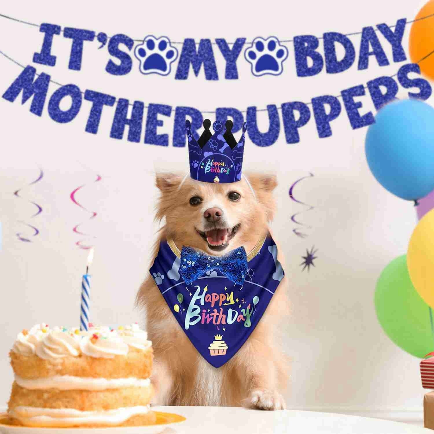 Dog Birthday Bandana Hat Set