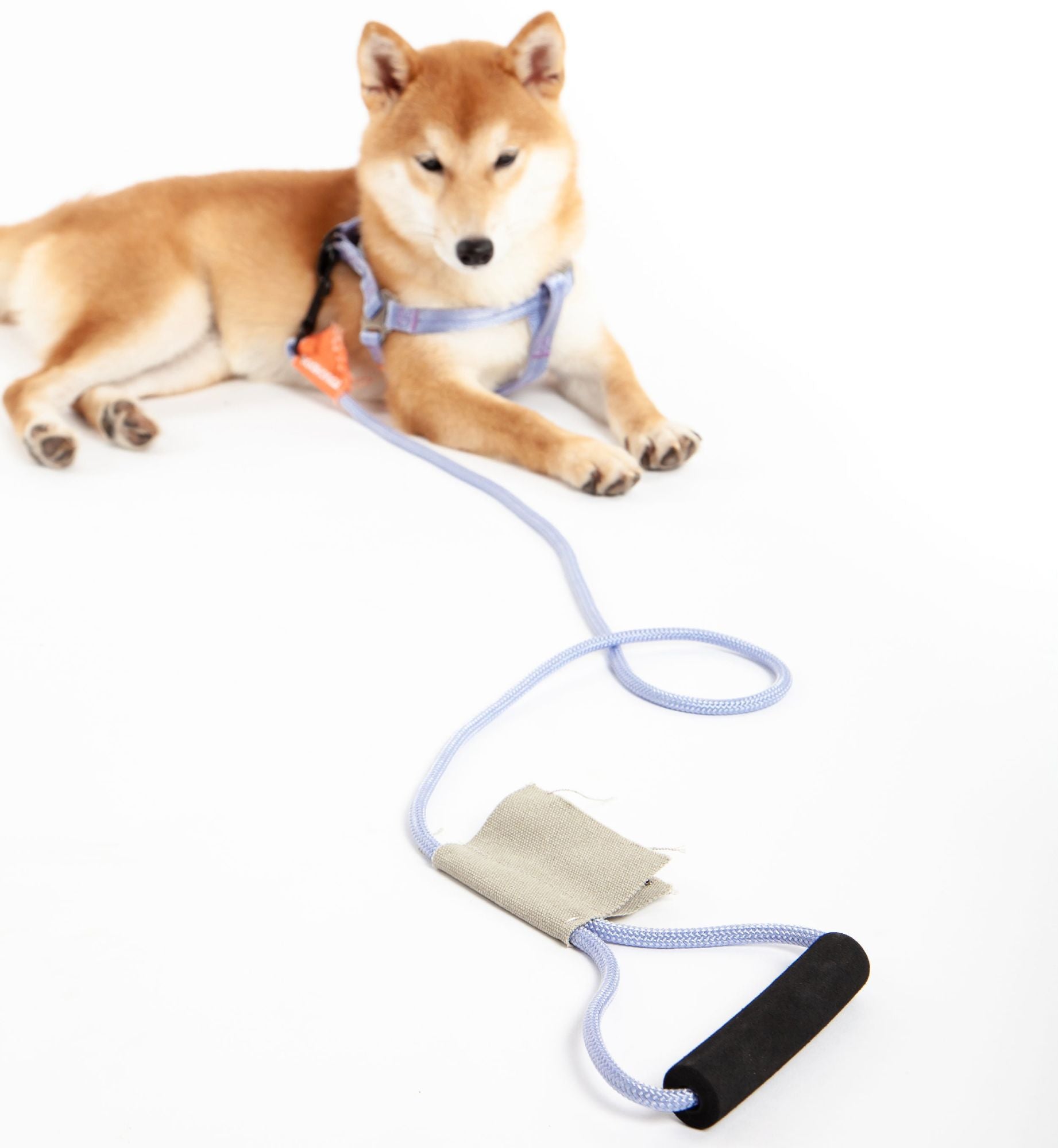 Touchdog &