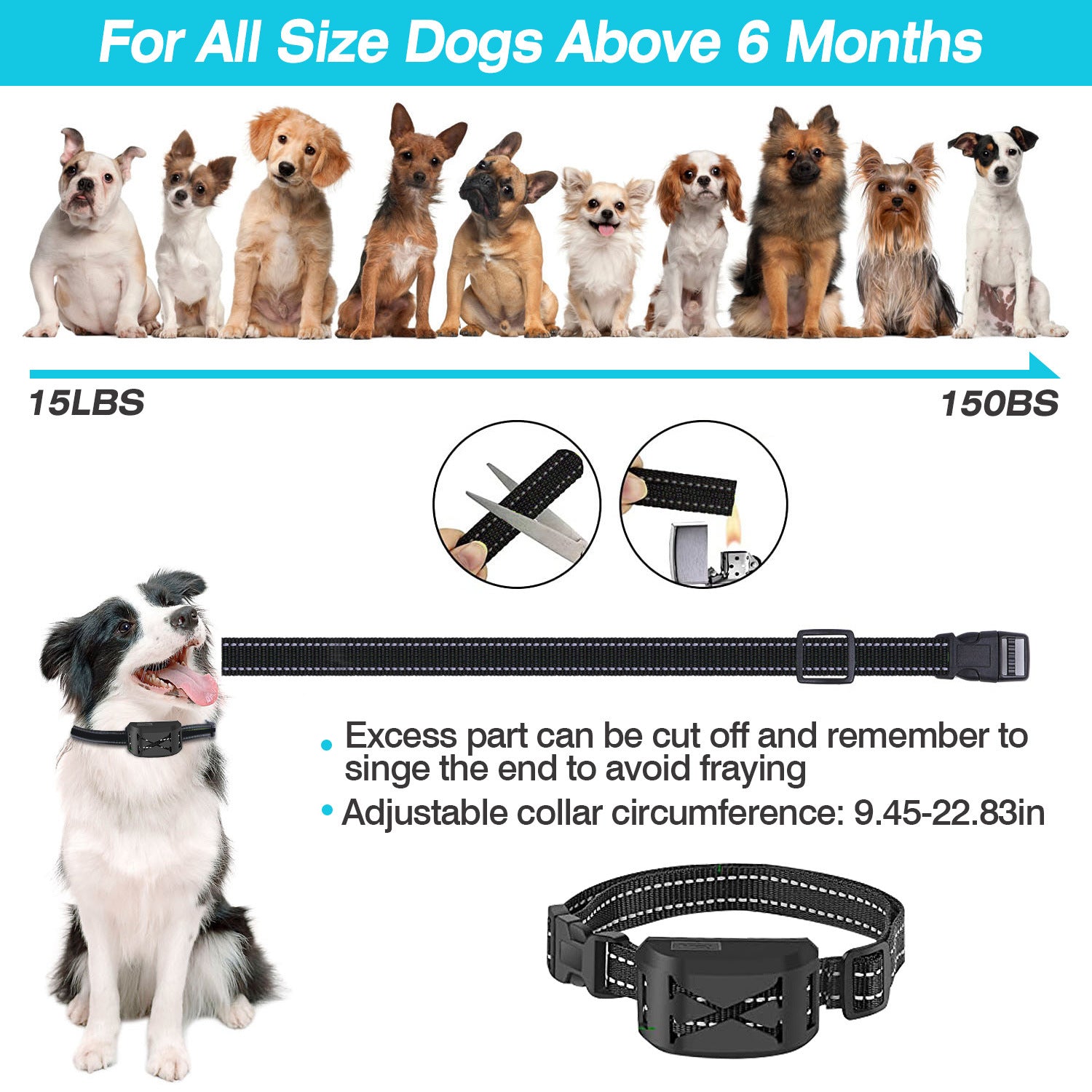 2 In 1 Wireless Electric Dog Fence Waterproof