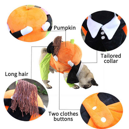 Pet Life &