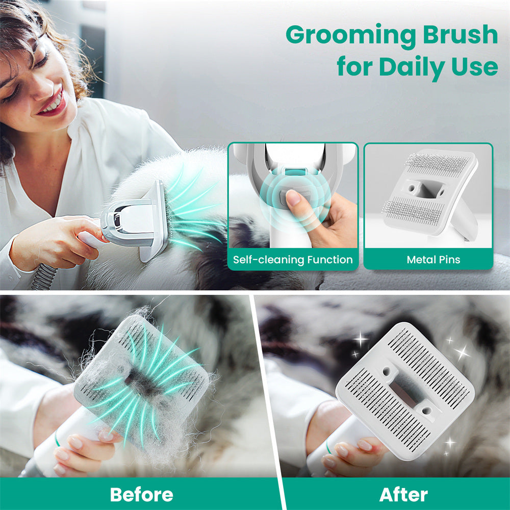 INSE P20 Pet Grooming Kit &amp; Vacuum Suction 99% Pet Hair, Professional Grooming Clippers with 5 Grooming Tools for Dogs Cats and
