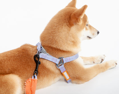 Touchdog &