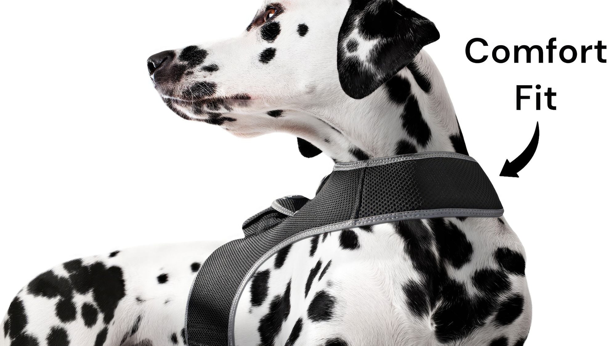 Pet Tracker Mini GPS Dog Tracking Device Made from Pet-Friendly Materials Size:S