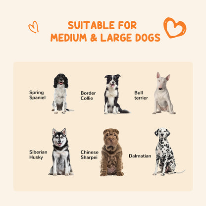 Dog Kennel Outdoor for Large and Medium Dogs, 9.3&