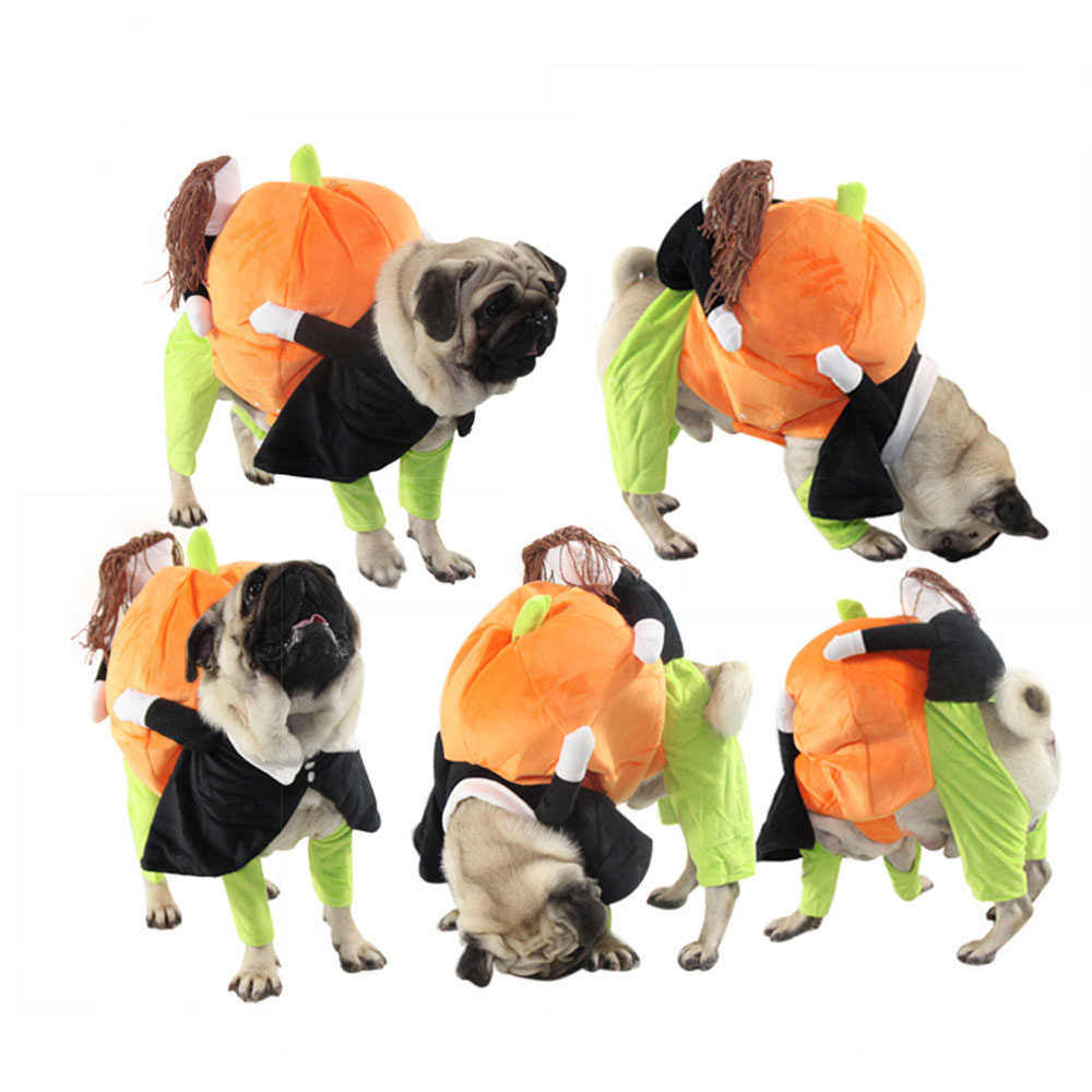 Pet Life &