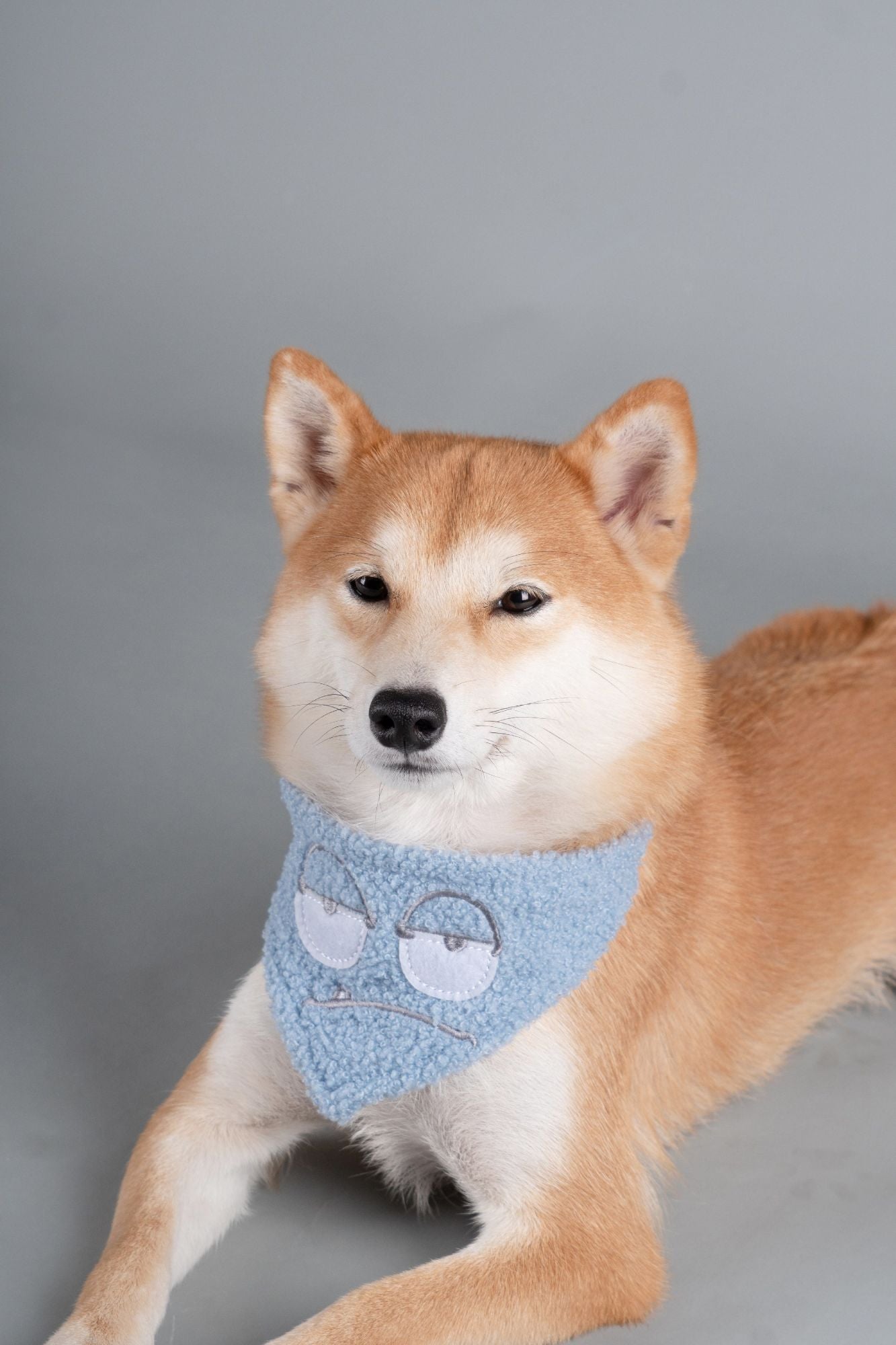 Touchdog &