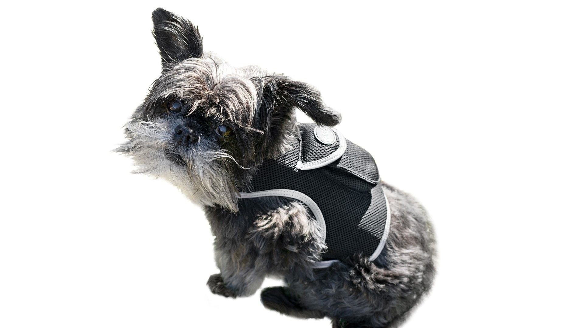 Pet Tracker Mini GPS Dog Tracking Device Made from Pet-Friendly Materials Size:S