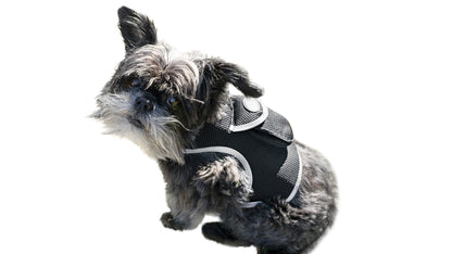 Pet Tracker Mini GPS Dog Tracking Device Made from Pet-Friendly Materials Size:S