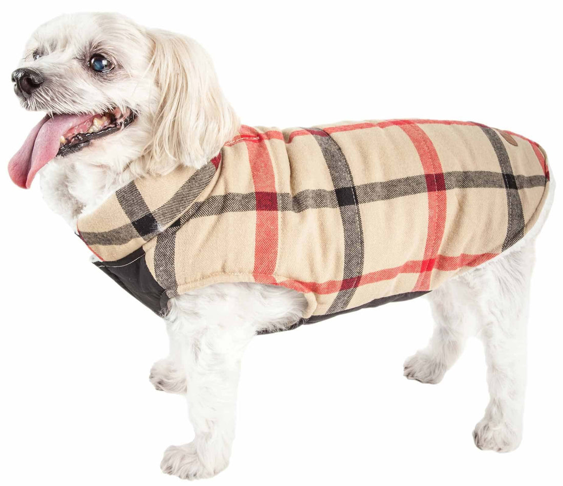 Pet Life &