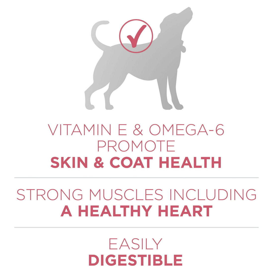 Purina One +Plus Dry Dog Food Skin and Coat Formula 31.1 lb Bag