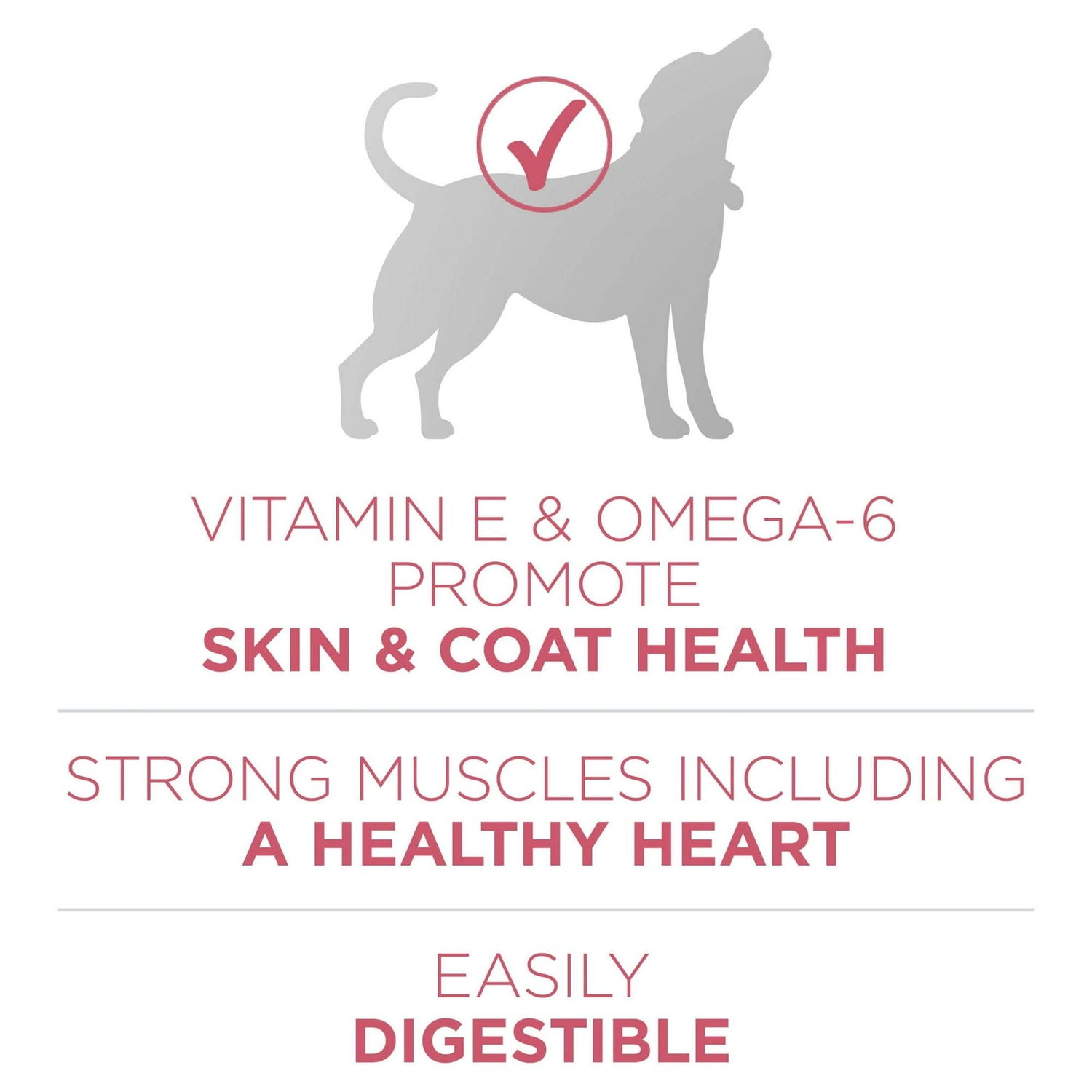 Purina One +Plus Dry Dog Food Skin and Coat Formula 31.1 lb Bag
