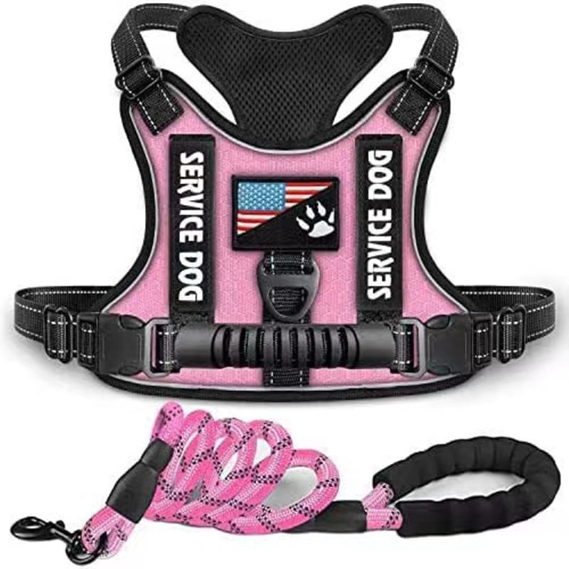 Pet Harness And Leash Set For Dog &amp; Cat; Adjustable No Pull Service Dog Vest Harness For Walking