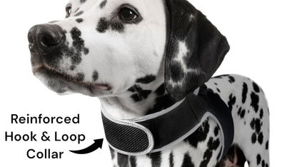 Pet Tracker Mini GPS Dog Tracking Device Made from Pet-Friendly Materials Size:S