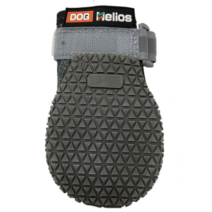 Dog Helios &
