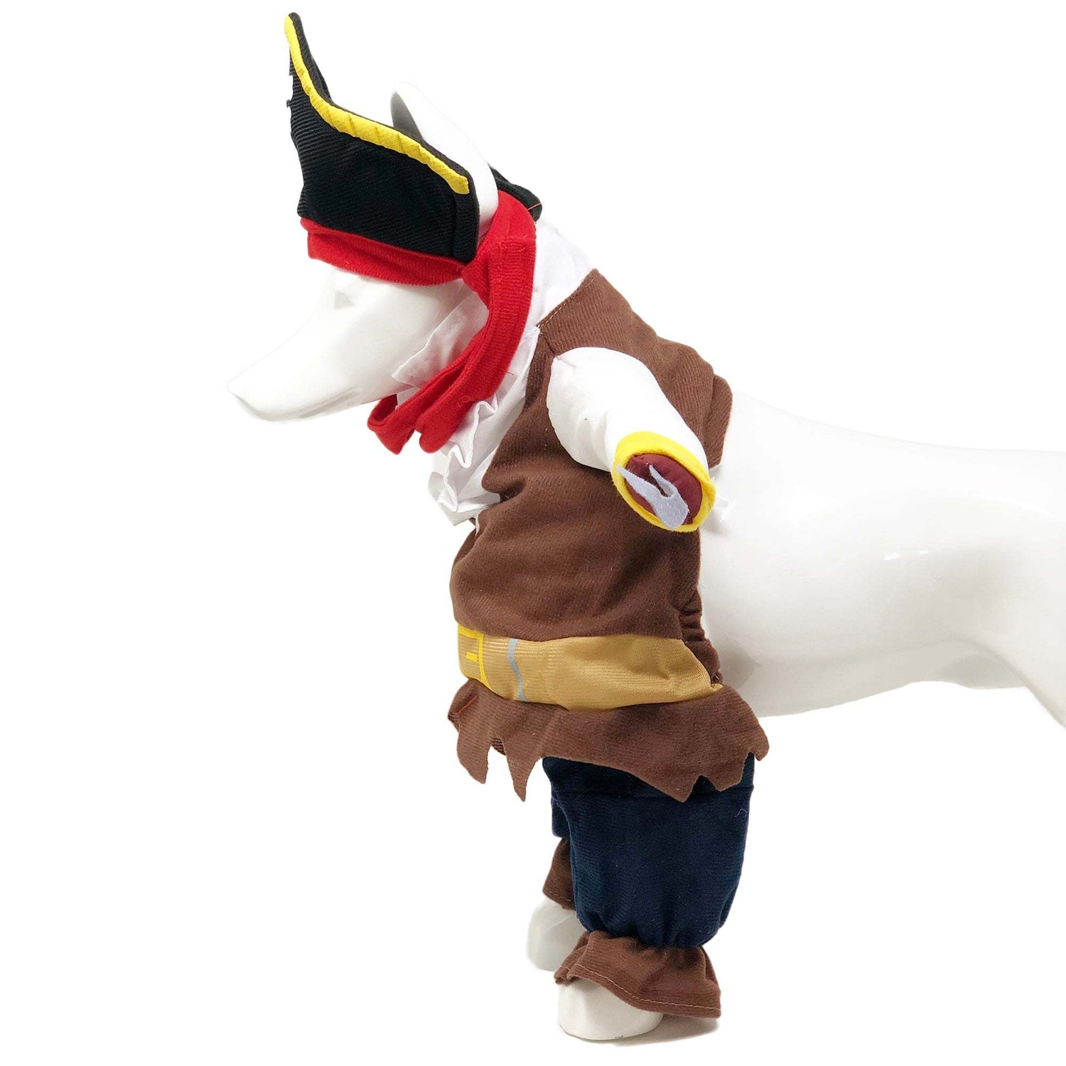 Pet Life &